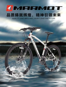 MARMOT土撥鼠單車 自行車文化是自行車產(chǎn)業(yè)發(fā)展強大動力