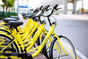 今日頭條 改名 lg g7 外觀曝光,依舊劉海屏 傳滴滴考慮 ipo,希望估值 800 億美元