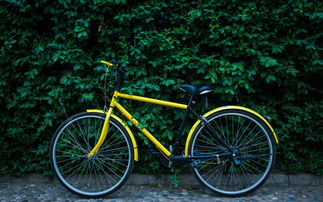 風(fēng)頭上的 共享自行車 一場看不到盈利的 豪賭