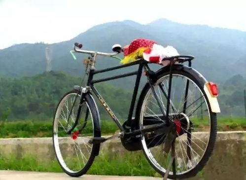 絳縣誰家有這種自行車 兩輛就能換一套房 暴漲500倍